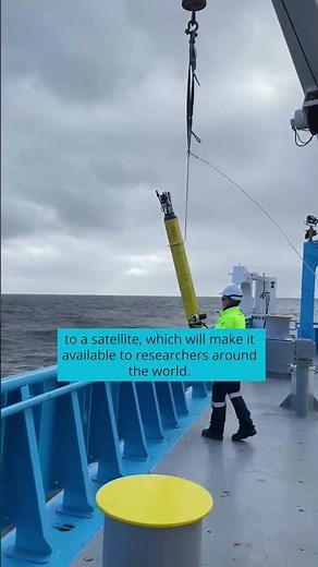 Float like an Argo, research the sea. 🌊