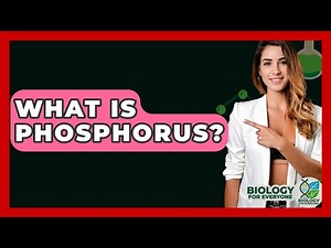 What Is Phosphorus? - Biology For Everyone