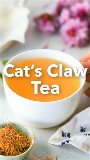 Medical Medium® on Instagram: "Cat’s Claw Tea Comment TEA to receive link to recipe and more We are in a time of pathogen warfare. Cat’s claw has no mercy on viruses and bad bacteria. The powerhouse phytochemical compounds in cat’s claw push aggressive viruses into a docile state and stifle pathogens such as bad bacteria, not allowing them to proliferate. Drinking cat’s claw tea regularly can help your immune system reclaim its territory once again. Cat’s claw is also remarkable for its ability 