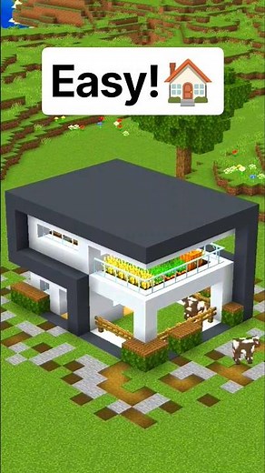 Simple Modern House