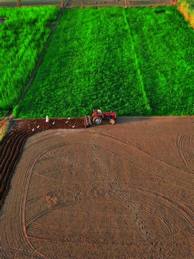 Exploring the World of Agriculture Farms