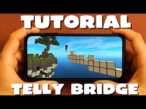 Handcam Tutorial Telly Bridge in PojavLauncher | Phone
