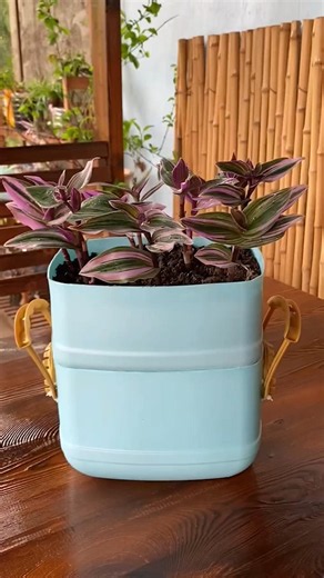 😲 15 Days No Water Pot! | Self Watering Planter DIY 🌱 #gardening #farming #plants