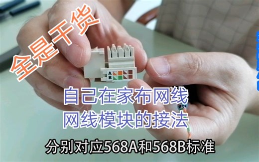简单易学，自己在家布网线，网线模块的接法详解