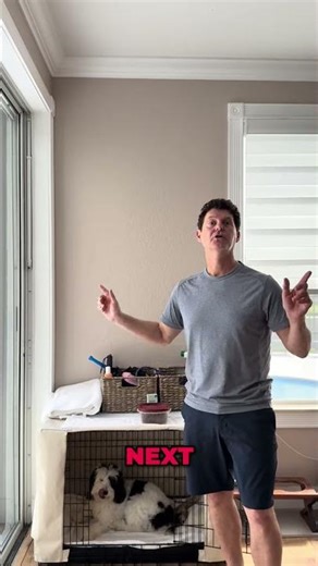 Dog-Proof Your Home & Master Basic Training For Your Pooch! #shorts