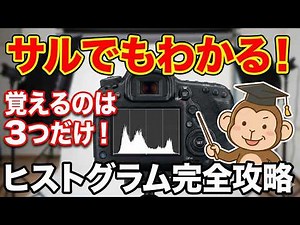 Only three things to remember! A complete explanation of histograms that even a monkey can unders...