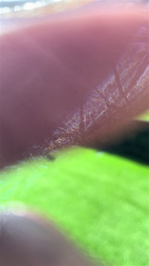 dju ya indice #canmaroc🇲🇦 #rdcongo🇨🇩 #katakata #kolwezi #lubumbashi