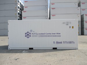 [Hot Item] 20 Feet Reefer Shipping Container for Sale
