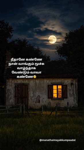 நீதானே கண்ணே நான் வாங்கும் மூச்சு🥺 #illayaraja #vijayakanth #revathi #jayachandran #vaali #vaidhegi