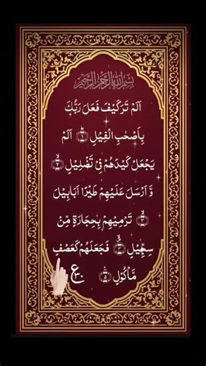 Surah Al-Fil Recitation, #surahfil #quran #islam #quranrecitation #islamic #surah #quranrecitation