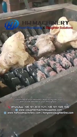 HW Machinery – Animal Bone Shredder Test | Abattoir Equipment for Pig, Cattle, Sheep & Poultry