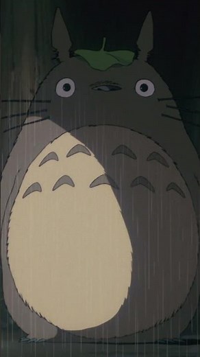 TOTORO 🥰 #MonVoisinTotoro