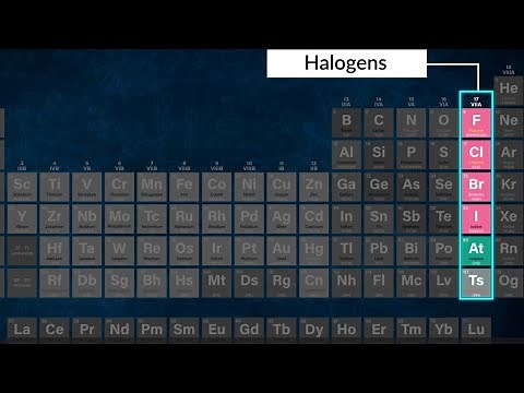 Chemistry - Grade 9 - The periodic table - Halogens and noble gases