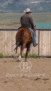 Here's how to fix a lead #b1 #beone #es20 #RespectTheCode #fuelforlegendaryhorses #6666equinesupplements | B1 Horsemanship