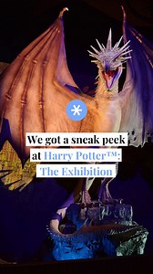 266K views · 3.4K reactions | [TICKETS IN BIO] Melbourne just got a lot more magical with the opening of Harry Potter™: The Exhibition, and we Apparated along for a first look! Featuring a Gringotts vault of props and costumes, behind-the-scenes reveals, and enchanting interactive moments, it brought the series to life in a whole new way for us. ✨️   Head to the link in our bio to book your tickets! #mysecretmelbourne #exhibitions | Secret Melbourne | Facebook