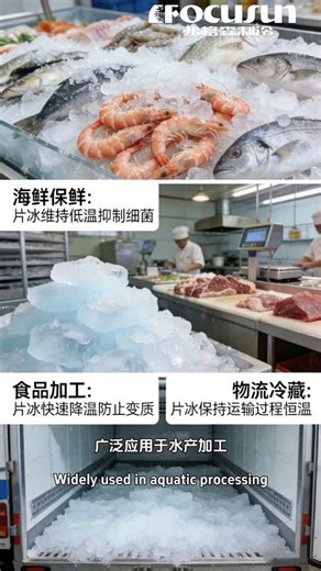 Focusun Flake Ice Machine!