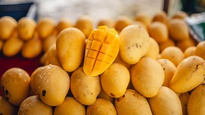Mexico’s Mango Industry: How Mexico Processes 2.4 Million Tons of Mangoes