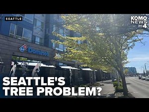 Tree advocates warn Seattle zoning changes could impact canopy and worsen heat