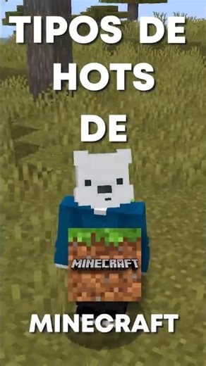 TIPOS DE HOTINGS PARA MINECRAFT #shorts