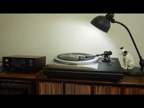 Hi-Diddle-Doddle / The Dixie Stompers