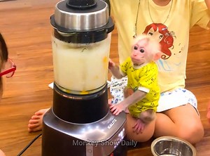 23K views · 1.4K reactions | Dad just buy new product " Fruit smoothie machine " and have make milk for BiBi first time, BiBi look very exiting to see Dad can make milk by self for him | Monkey Show Daily | Facebook
