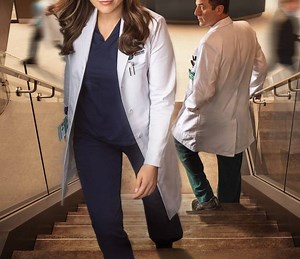 good sam Summary, Trailer, Season List, Cast, Where to Watch and More