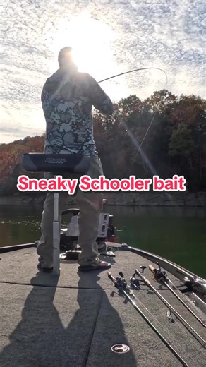 When bass chase bait in the late season, it's hard to get them to break the surface... that's the perfect time to let a jigging spoon work its magic! Pitch it into the bait and let it fall semi-slack through the school. The bass will do the rest! Link to this Spoon in our bio 👆🏽 #tacticalbassin #fishing #bassfishing #springfishing