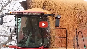 WT Farm Girl Videos - Late planting = late harvest - Michigan Corn Harvest LATE SEASON - Teach a Farm Girl Series -plus contest winner..