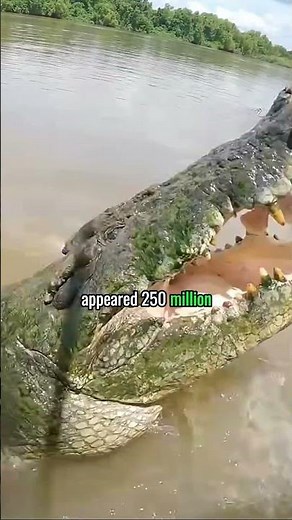 4 Prehistoric Animals Still Alive Today! 🦖🌍 (Living Fossils!)