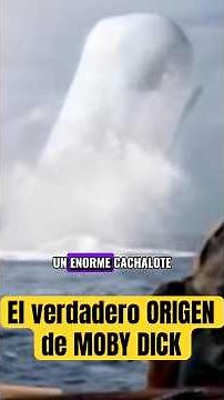 Mocha Dick, the Chilean white sperm whale that gave rise to Moby Dick