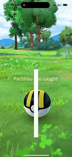 Catching Shiny Pachirisu In Pokémon Go