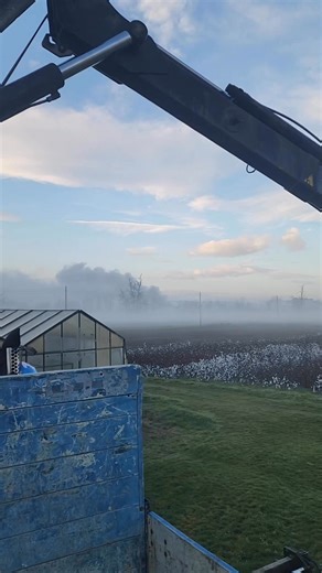 13K views · 24 reactions | Доставката е успешно изпълнена Plamen...