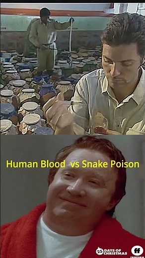 Snake Venom vs Human Blood – Shocking Reaction! 😱