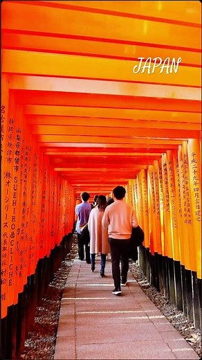 Walking through 1,000 Torii Gates - Fushimi Inari Kyoto | Peaceful Japan