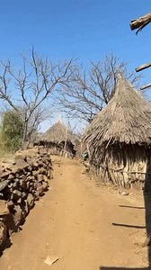 550K views · 47K reactions | Ethiopian video Collection on Reels | Facebook