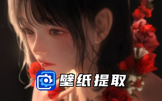 Wallpaper壁纸提取教程，你学会了吗？【Wallpaper壁纸安利酱】