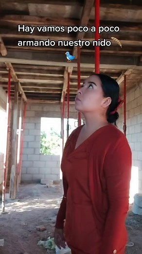 462K views · 9.5K reactions | 襁 la casita | La chica de la casa | Facebook