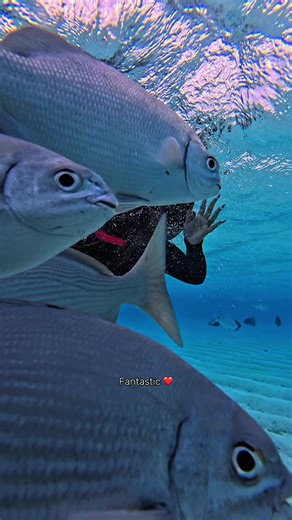 Momentos Increíbles en San Andrés, Colombia