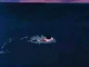 Peter Pan reversed with Hook is a codfish