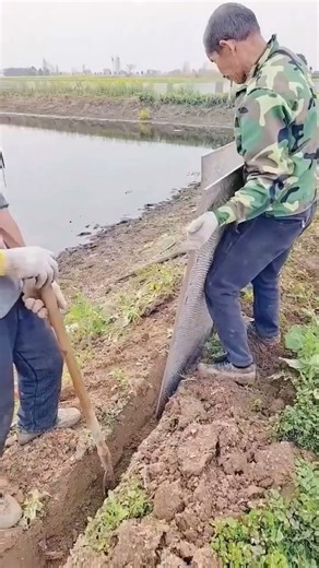 Upgrade your pond with a durable tile fence.