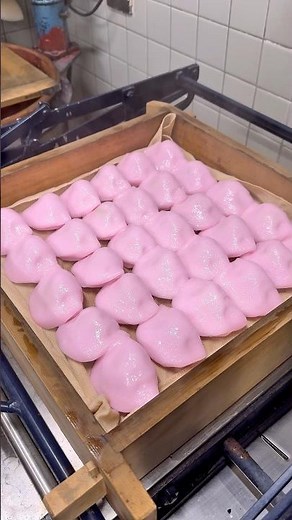Pink kashiwa mochi made by a long-established Japanese confectionery shop founded in 1892 #japane...