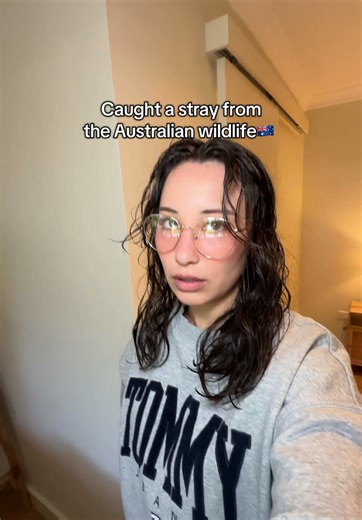 When Australian exotic birds ruined my hair during wildlife encounter