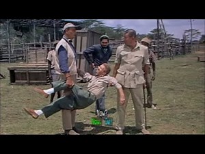 Hatari! Don't fall in with those buffalo! with English subtitles