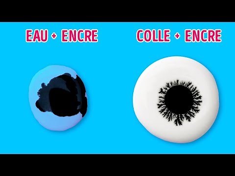 12 EXPERIENCES SCIENTIFIQUES POUR ENFANT