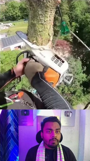 Modern tree cutting methods used abroad 😯 mini wood toy-wood working art skill wood / hand crafts