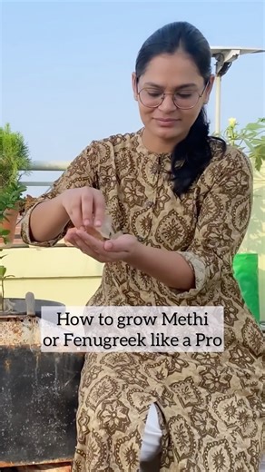 162K views · 28 reactions | How to grow Methi or Fenugreek like a pro. At the same time we can prevent damping off of seedlings  through good soil health! Soil mixture composition: Two parts garden soil One part cocopeat One part compost and neemkhali One part River sand #wintergreens #terracegarden | Mud and Colors | Facebook
