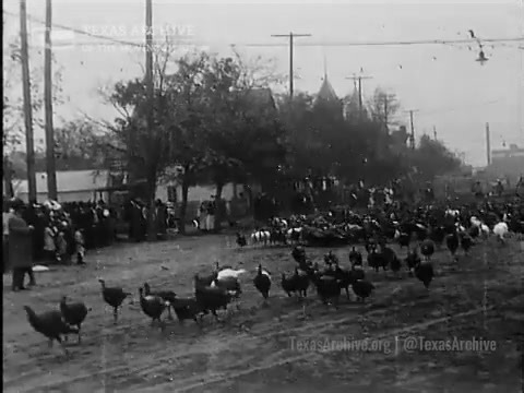 126K views · 1.6K reactions | 旅 In 1912, Cuero, Texas hosted its very first Turkey Trot — and yes, it involved 18,000 live turkeys parading down Main Street! This film footage from the Sloane Collection captures the chaos, charm, and Thanksgiving spirit as the birds are herded to market, lured by corn and local excitement.  From the Sloane Collection Watch the full video at https://loom.ly/EB7_FUA #CueroTX #TurkeyTrot #TexasHistory | Texas Archive of the Moving Image | Facebook