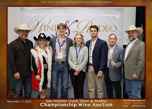 Wine Competition & Events