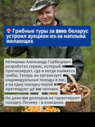 Грибные туры за $500: как айтишник превратил хобби в бизнес