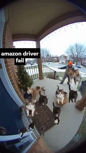 AMAZON Driver FAIL 😲